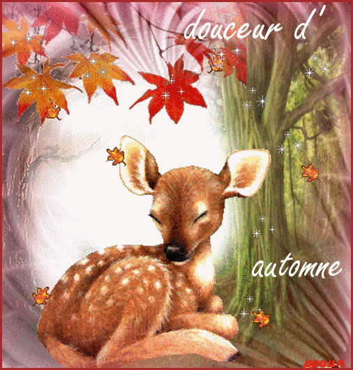 adorable image animée douceur de l'automne