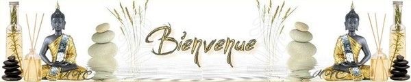 banniere asiatique zen bienvenue