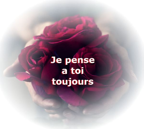 je pense à toi toujours